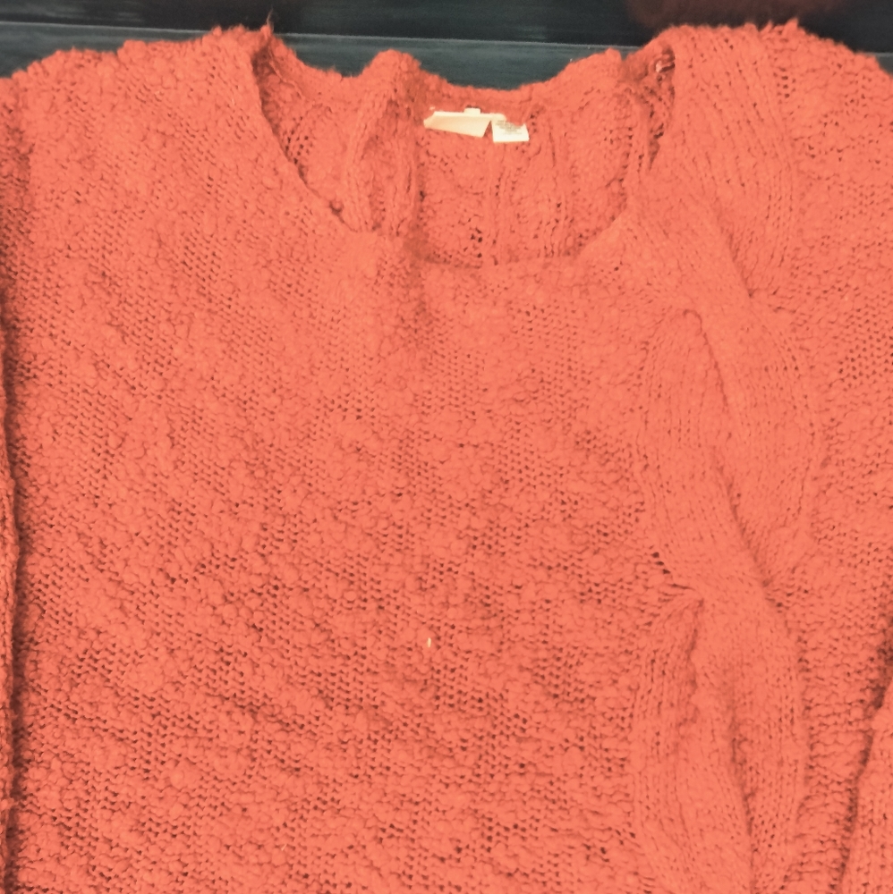 Anthropologie Rust Crew Neck Sweater